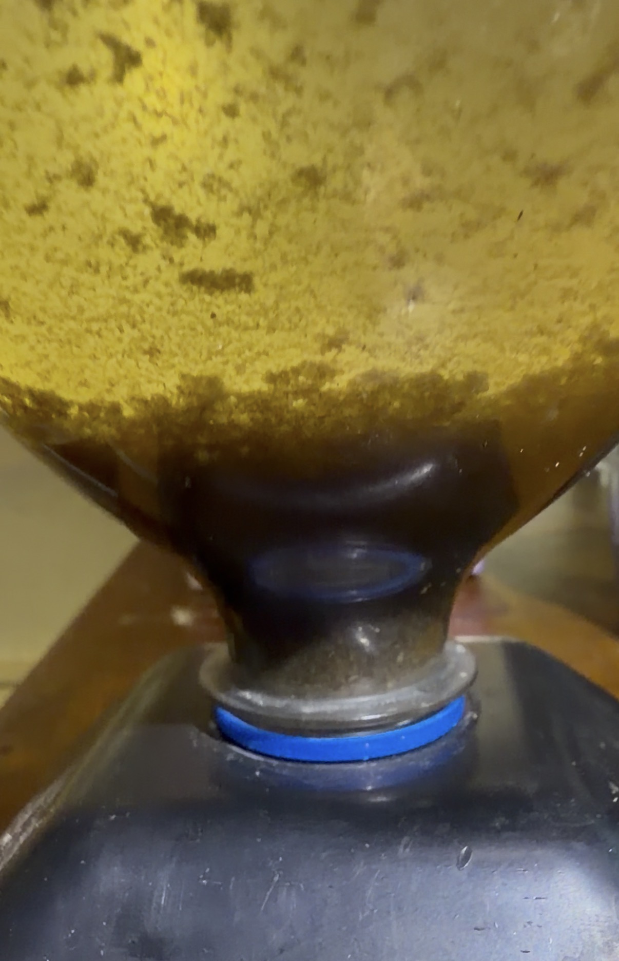Close view of biologically active experimental material