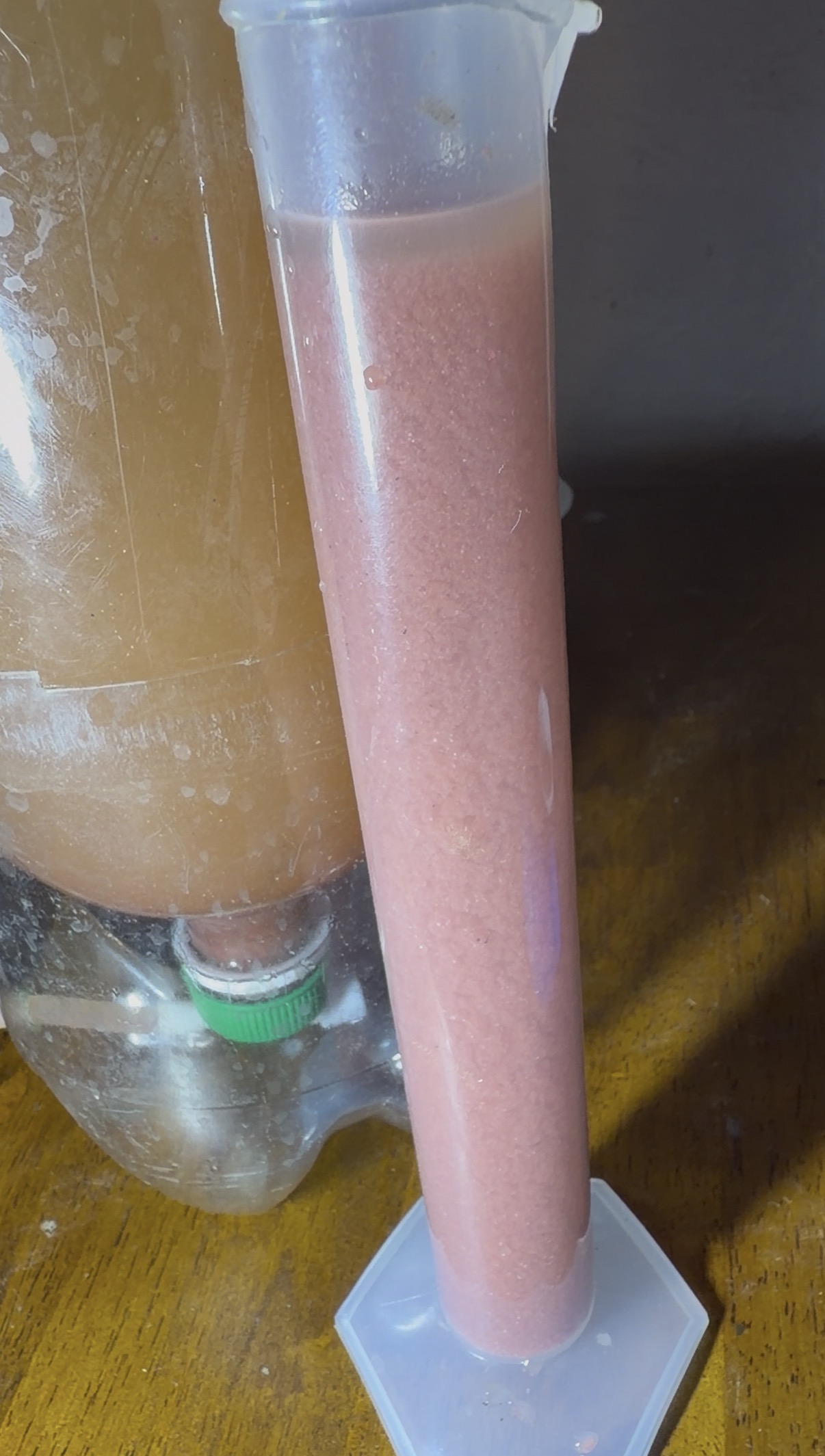 Experimental benthic production biofloc material in a graduated cylinder