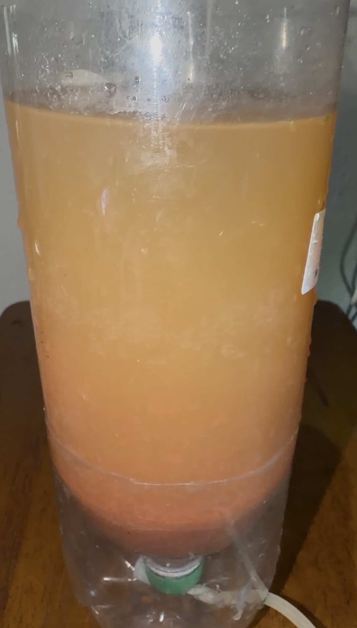 Experimental biological culture system